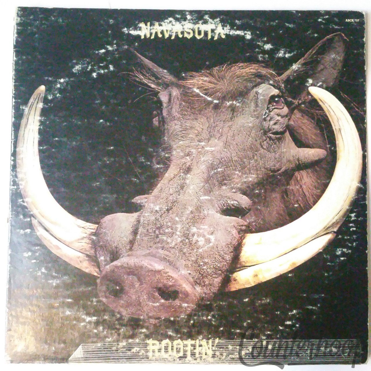 Navasota-Rootin' VG 1972 ABC Records-ABCX757 Southern Rock Don Fagen/Jeff Baxter — main photograph