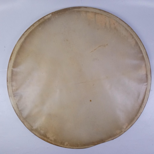 Ludwig 15"Resonant Slunk Genuine Calf Skin Snare Drum Parade/Concert Head 40s US — main photograph