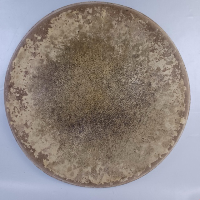 Leedy/Ludwig 15"Pig/Calf Skin Snare Drum Batter Head Vintage 20s USA Tom Pigskin — main photograph