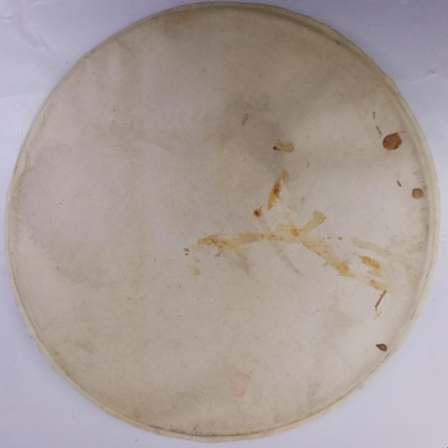 Ludwig 15" Calf Skin Snare Drum Batter Head Vintage 40s USA Tom Calfskin* — main photograph