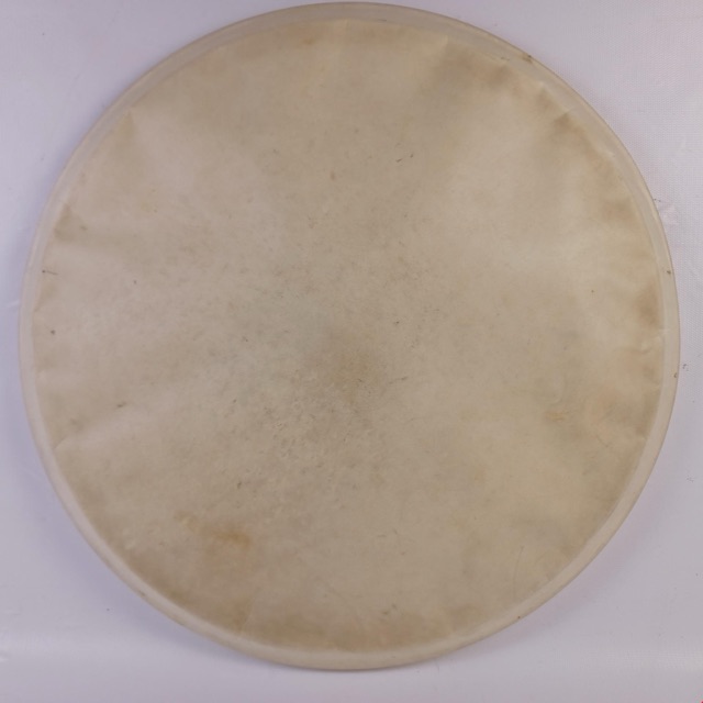 Leedy/Ludwig 14" Calf Skin Snare/Floor Tom Drum Head Batter Vintage 50s USA — main photograph