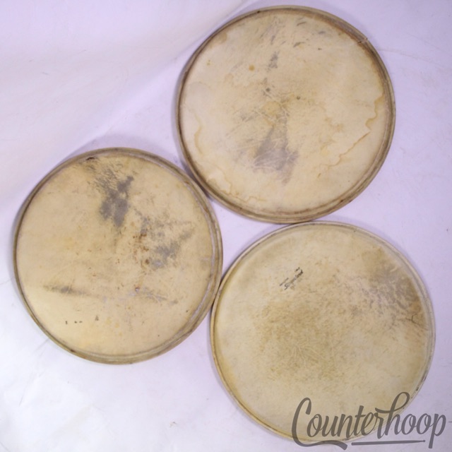 Slingerland 3x Radio King 13" Tom Drum Calf Skin Heads Batter/Resonant Set 40s* — main photograph
