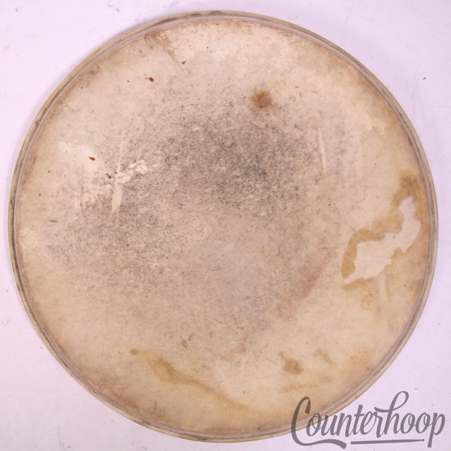 Leedy 12" Calf Skin Tom Drum Head Maple Flesh Hoop Batter/Resonant Vintage 30s* — main photograph