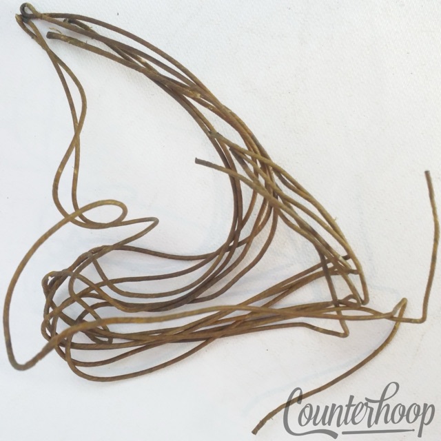 Ludwig 14" Catgut(Sheep)Natural Snare Drum Wires/8x Strands Vintage 10s Cat Gut — main photograph