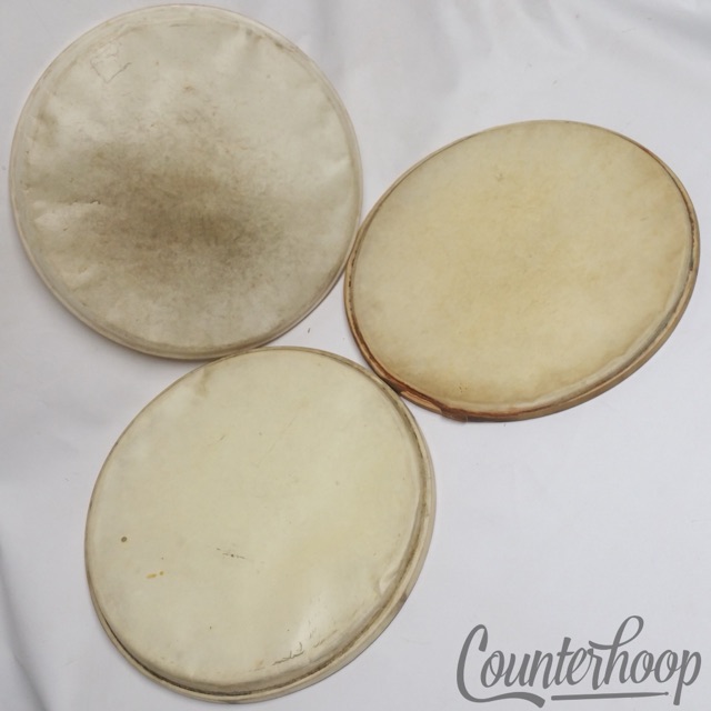 Ludwig Whitecalf 13" Calf Skin Heads Lot 3x Vintage 50s Tom Drum Calfskin* — main photograph