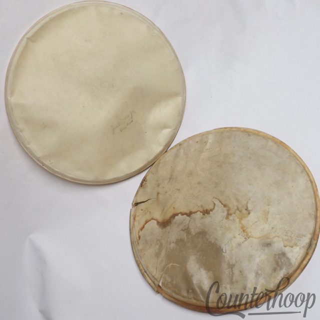 Joseph Rogers Daisy Brand+Standard 14" Calf Skin Snare Drum/Floor Tom Drum Heads — main photograph