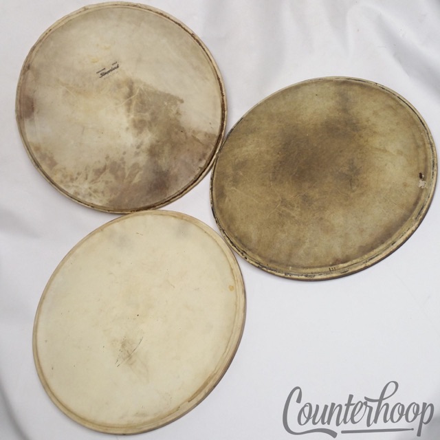 Slingerland 3x 15" Parade Calf Skin Tom/Snare Drum Side Batter Heads Vintage 50s — main photograph