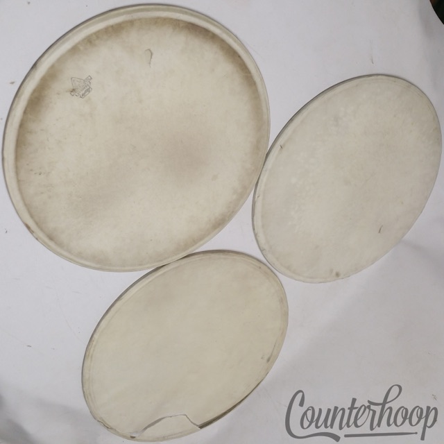 Leedy 3x 16" Regular Hardwhite Calf Skin Floor Tom Timpani Drum Heads Steel Hoop — main photograph
