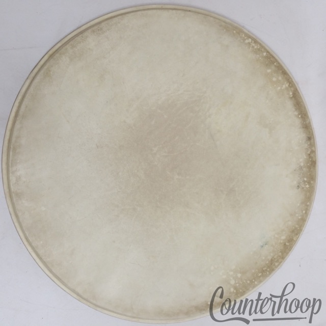 Leedy 18" Calf Skin Bass Drum/Floor Tom Head Superior Hardwhite Maple Flesh Hoop — main photograph