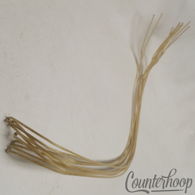 Ludwig 16"Cat"Gut(Sheep)Natural Snare Drum Wires/10x Strands Vintage 20s Catgut — main photograph
