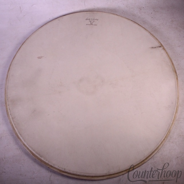 Leedy & Ludwig 24" Bass Drum Calf Skin Head Standard Hardwhite Maple Vintage 50s — main photograph