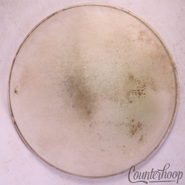 Leedy&Ludwig Snare/Floor Tom 14"Calf Skin Drum Batter Head Vintage 50s USA* — main photograph