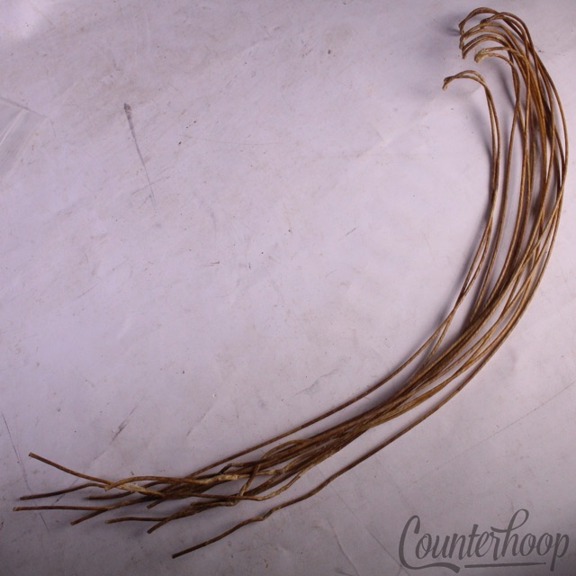 Ludwig Catgut(Sheep) 15"Snare Drum Wires/12x 20.5"Strands Vintage Cat Gut 70s US — main photograph