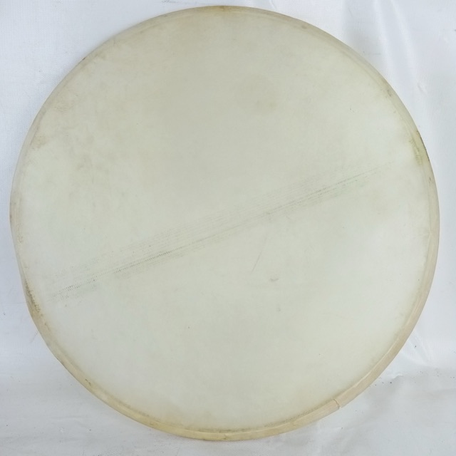 Leedy/Ludwig 14"Calf Skin Snare Resonant Side Drum Head Vintage 40s USA Calfskin — main photograph