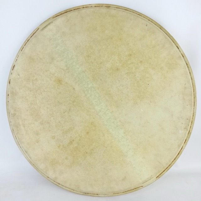 Wilson 14" Economy Resonant Calf Skin Snare Drum Head Vintage Early American 20s — main photograph