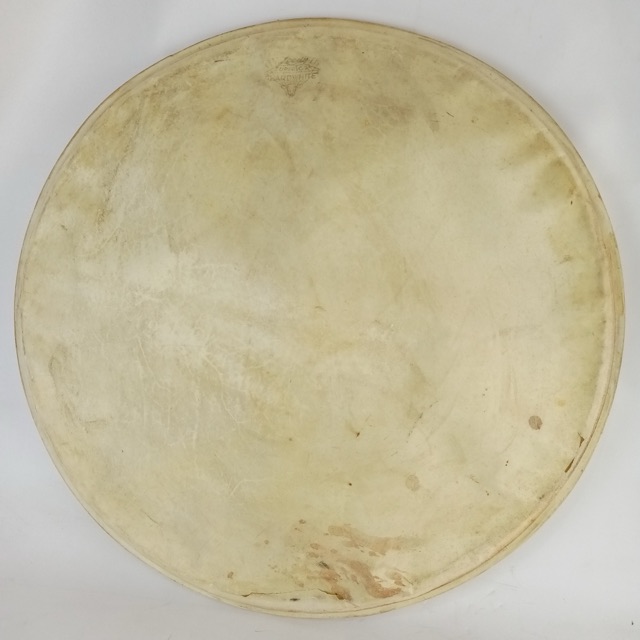 Leedy 18"Calf Skin Bass Drum/Floor Tom Head Maple Flesh Hoop Superior Hardwhite* — main photograph
