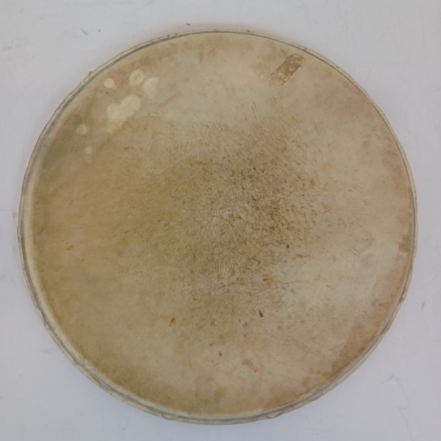 Leedy 16" 20s Calf Skin Floor Tom Drum Batter/Resonant Head USA Marching Snare — main photograph