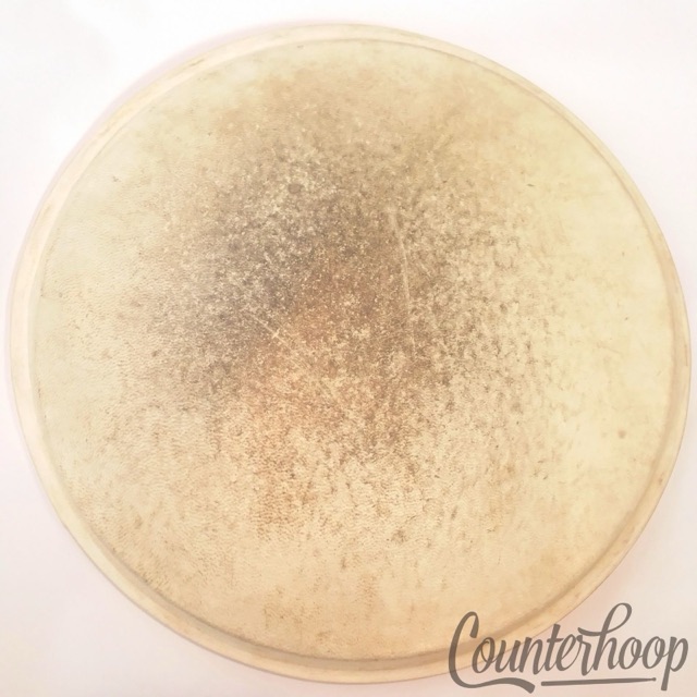 Leedy 12"Pig Skin Ride Tom Drum Head Calfskin Thick Batter Vintage 30s USA Calf — main photograph