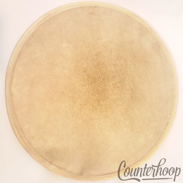 Ludwig 12" Calf Skin Ride Tom Drum Head Calfskin Thick Batter Vintage 30s USA* — main photograph