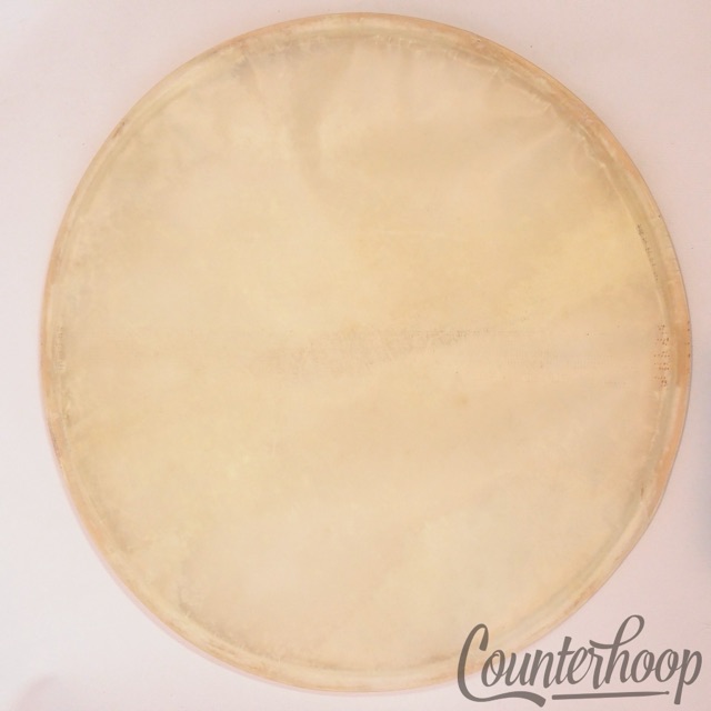Ludwig 12" Calf Skin Snare Drum Head Calfskin Thin Resonant Vintage 10s USA* — main photograph