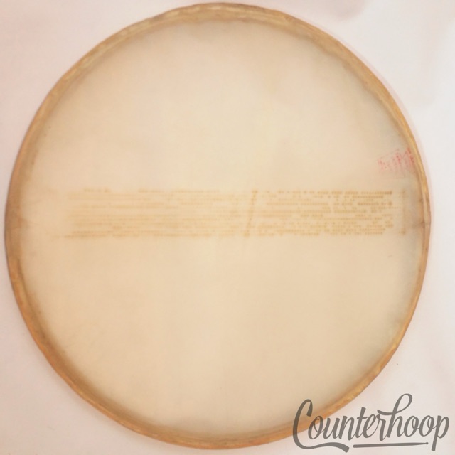 Ludwig WFL 13" Calf Skin Snare Drum Head Calfskin Transparent Resonant Imperial — main photograph