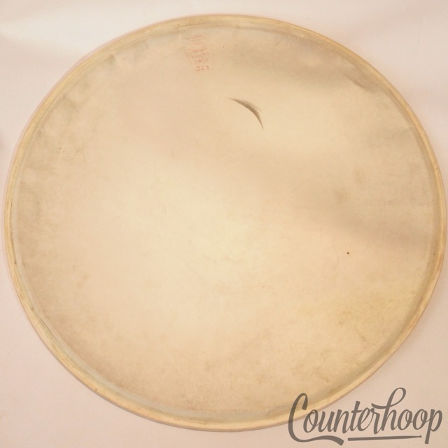 Ludwig WFL 13"White Calf Skin Snare Drum Head Calfskin Resonant Double Strength — main photograph