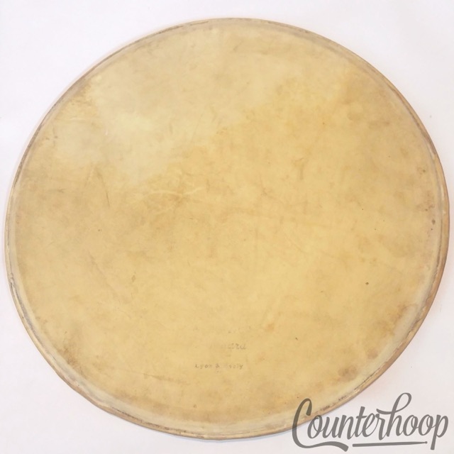Lyon&Healy 13" Calf Skin Tom/Snare Drum Head Calfskin Batter Amrawco Standard* — main photograph