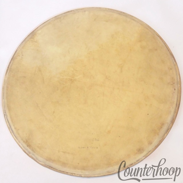 Lyon&Healy 13" Calf Skin Tom/Snare Drum Head Calfskin Batter Amrawco Standard* — main photograph