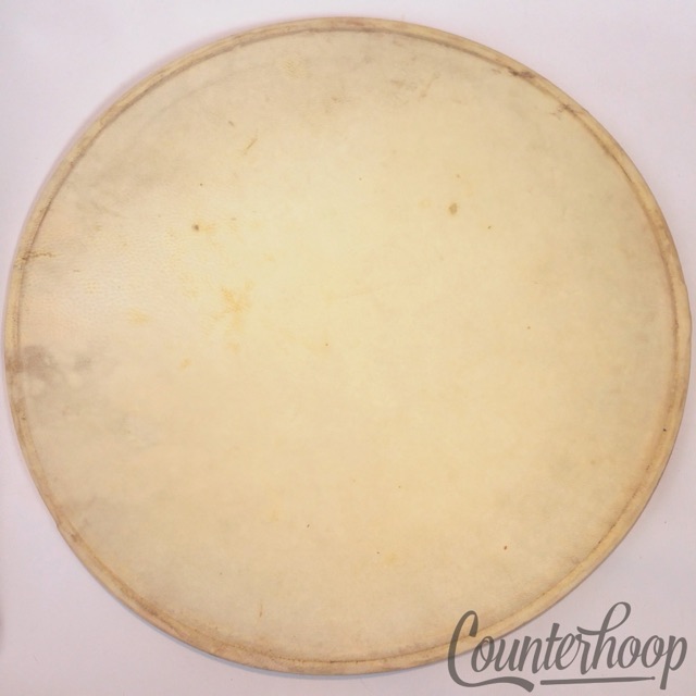Leedy 13" Calf Skin Tom/Snare Drum Head Calfskin Thick Batter Vintage 20s USA* — main photograph
