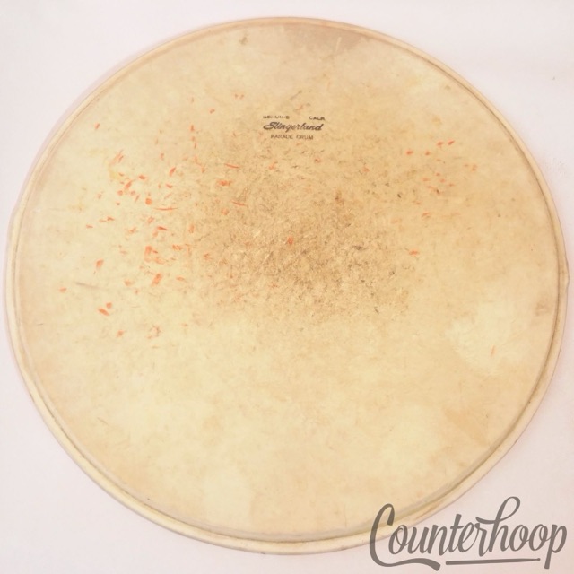 Slingerland 14" Genuine Calf Skin Parade Drum Tom/Snare Head Calfskin Batter 50s — main photograph