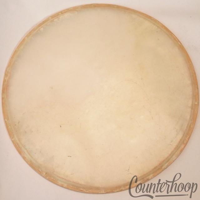 Gretsch 14" Calf Skin Snare Drum Resonant Head Calfskin Vintage 40s Transparent — main photograph
