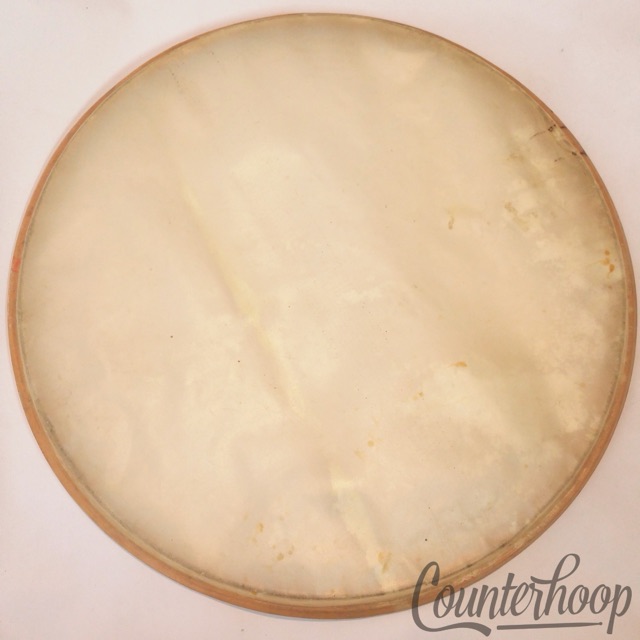 American 15"Calf Skin Professional Snare Drum Resonant Head Transparent Calfskin — main photograph