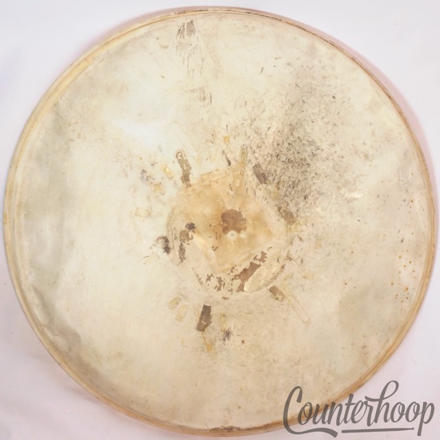 Leedy 26" Calf Skin Bass Drum Head Vintage 30s Superior Hardwhite USA Calfskin* — main photograph