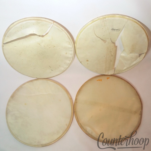 Slingerland 4x 14" Calf Skin Snare Drum Resonant Heads Parade Calfskin Marching — main photograph