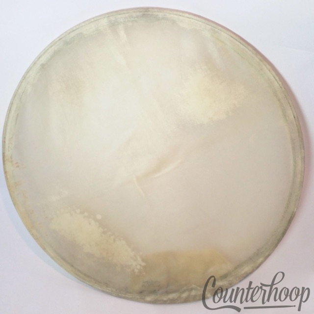 Ludwig 26" Calf Skin Timpani Drum Head Calfskin Steel Flesh Hoop 30s Amrawco Pro — main photograph