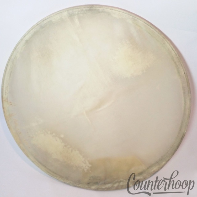 Ludwig 26" Calf Skin Timpani Drum Head Calfskin Steel Flesh Hoop 30s Amrawco Pro — main photograph