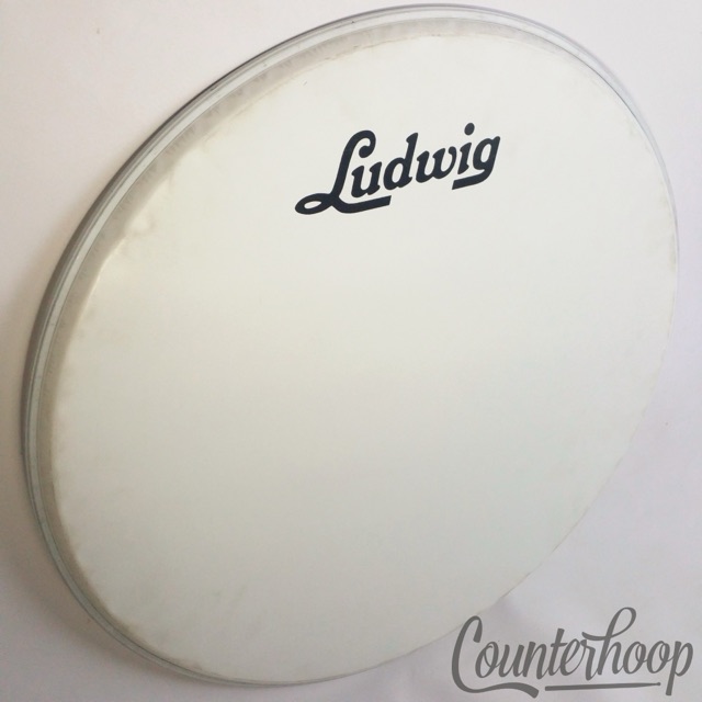 Ludwig 22"Bass Drum Head 60s Script Logo Resonant White Coated Evans EQ1* — main photograph