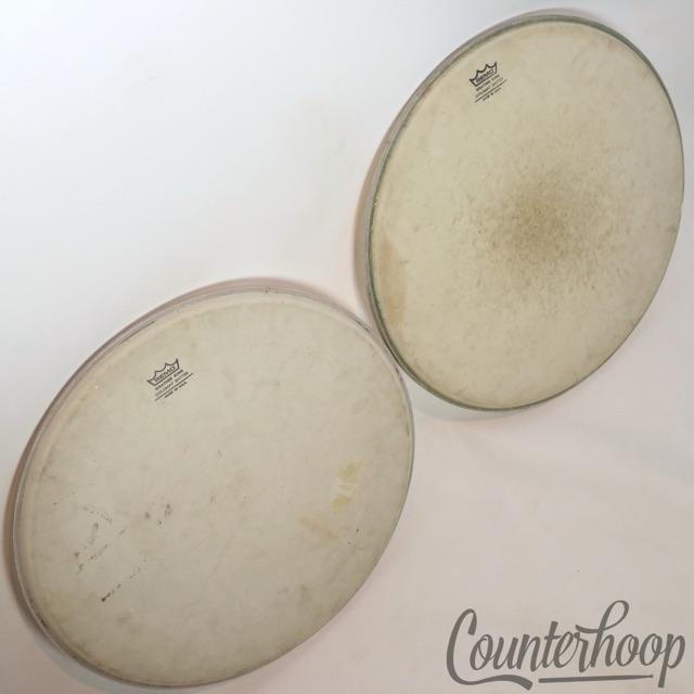 Remo 2x 16" Floor Tom Drum Heads Coated Diplomat Batter Weather King Made In USA — main photograph
