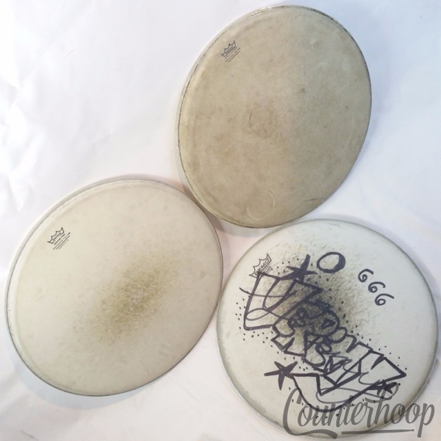 Remo 3x 16" Floor Tom Drum Heads Coated Ambassador Weatherking Resonant/Batter — main photograph