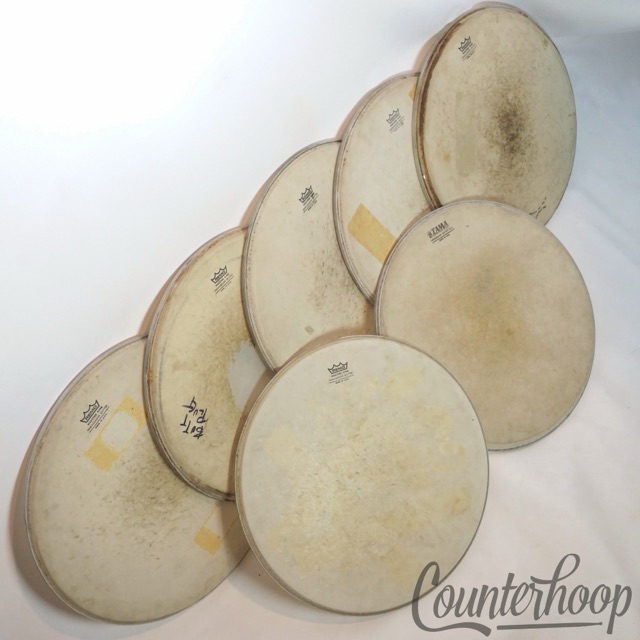 Remo 7x 16" Floor Tom Drum Heads Coated Ambassador Weatherking Resonant/Batter — main photograph