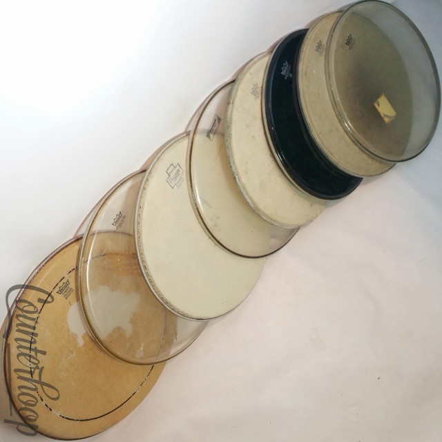 Remo 8x 16" Floor Tom Drum Legs Legacy Pinstripe,Emperor Batter,Aquarian Clear+ — main photograph