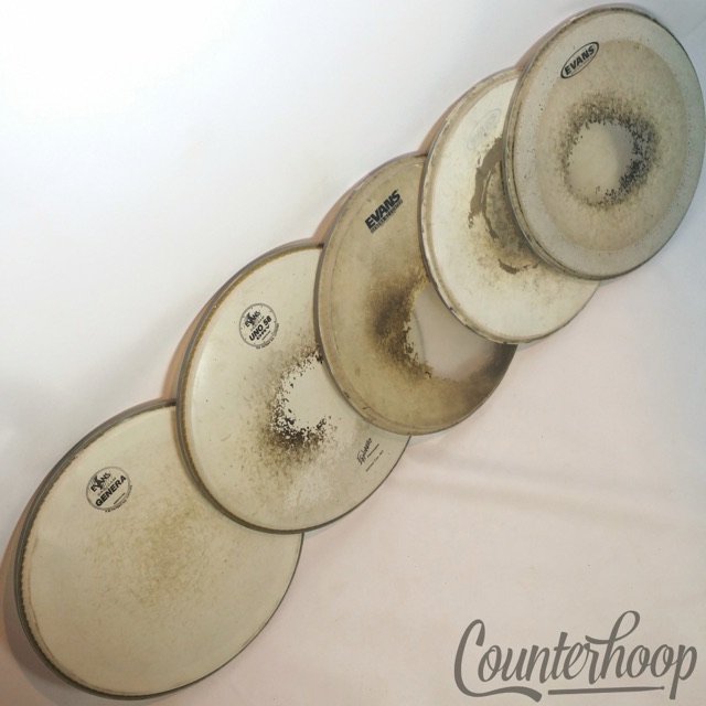 Evans 5x 14" Cad/Cam Genera+Uno 58 Dry,G2 Coated,Dot Coated Snare/Tom Drum Heads — main photograph
