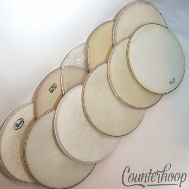 Pearl+Tama+Vintage 10x 14" Snare/Tom Drum Heads Coated+Clear Ambassador Batter* — main photograph