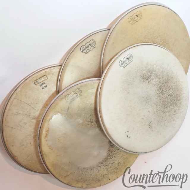 Ludwig 5x 14" 60s Drum Heads Snare/Tom Orchestra/Parade Batter Weather Master* — main photograph