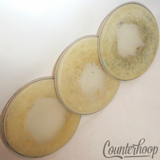 Slingerland 3x 14" Snare/Floor Tom Drum Heads Sound King 60s Vintage Coated USA — main photograph