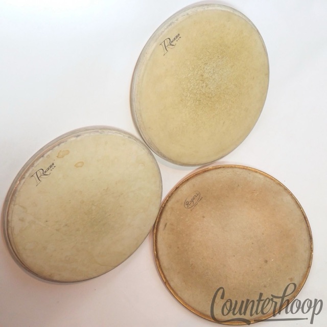 Rogers 3x 13"Drum Heads Coated 60s All-Weather Cleveland,70s Big R USA Powertone — main photograph