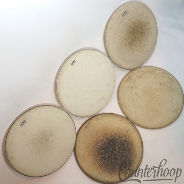 Gretsch 5x 13" Tom Drum Heads 60s Permatone Round Badge Coated USA Perma-Tone* — main photograph