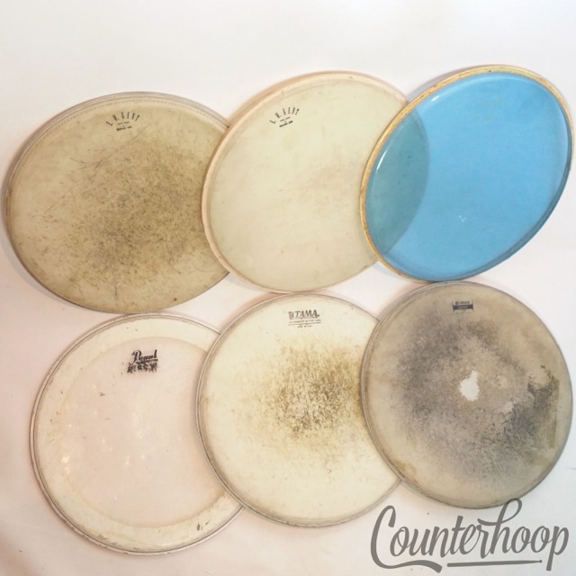 E.W. Kent Weather King Drum Heads 13" Lot 6x+Yamaha,Pearl,Tama,Evans Hydraulic* — main photograph