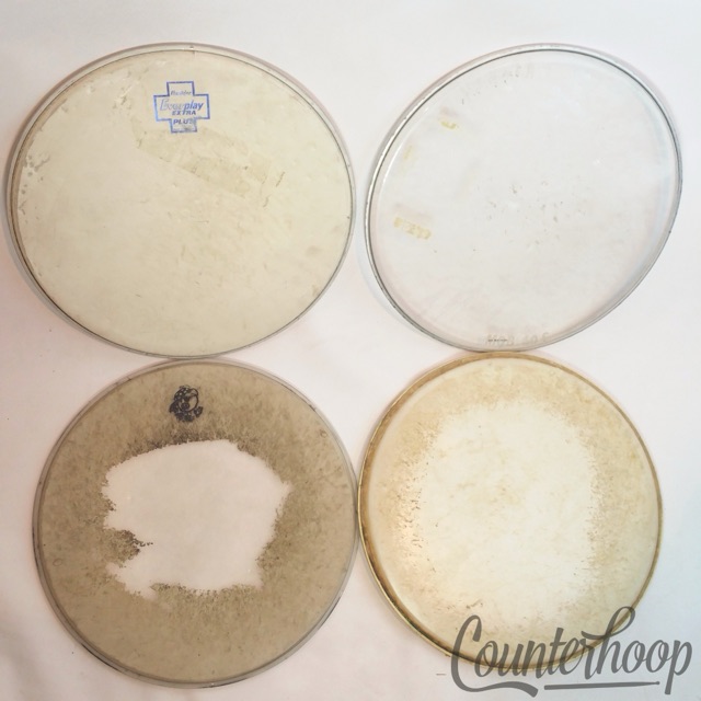 4x 13" Tom Drum Heads Premier Everplay Extra Plus, Pork Pie, White+Coated Lot* — main photograph
