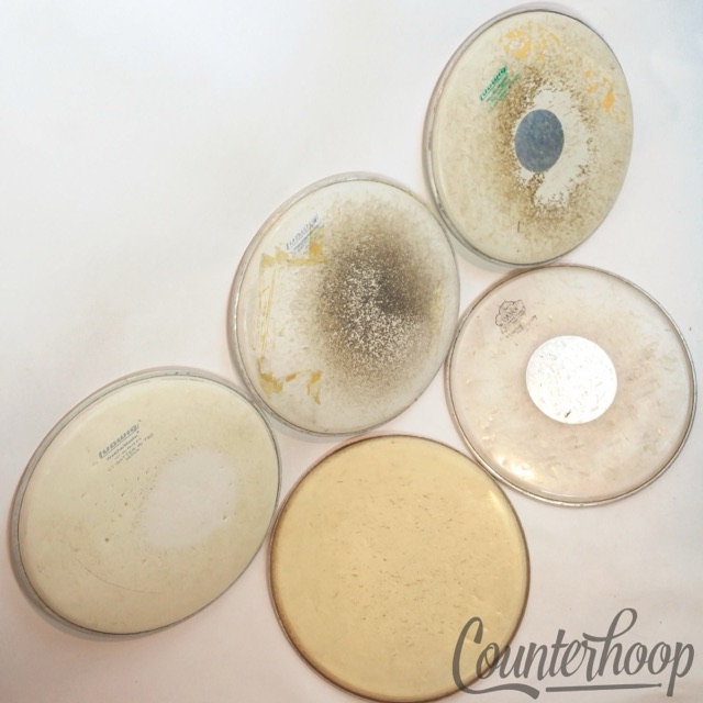 Ludwig 5x 12" Tom Drum Heads 60s Playon Plastic,70s Weather Master db-750/1000+ — main photograph